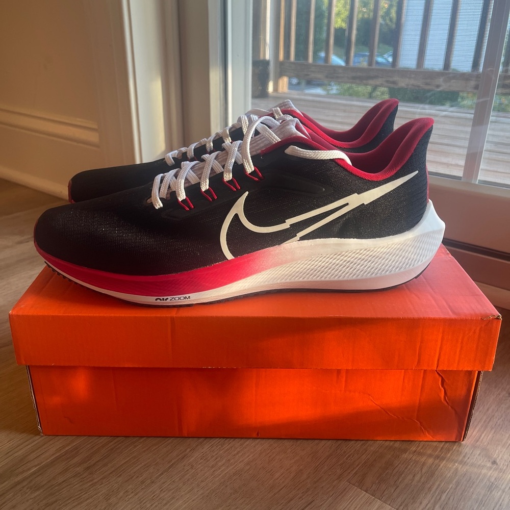 Nike Men's Air Zoom Pegasus 39 BTC